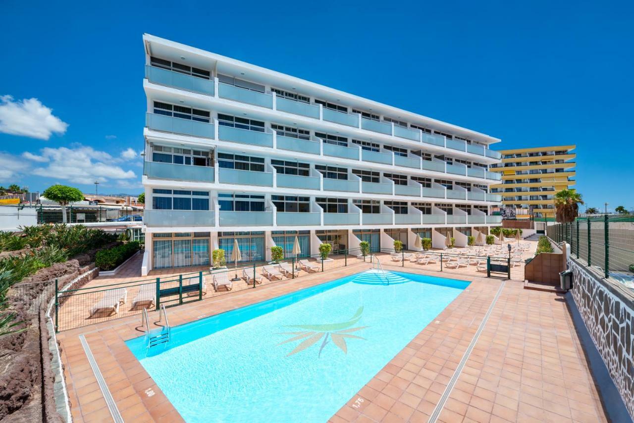 Strelitzias Apartman Playa del Inglés